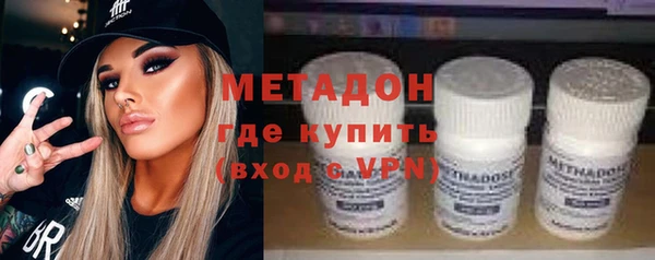индика Алексин