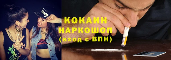 индика Алексин