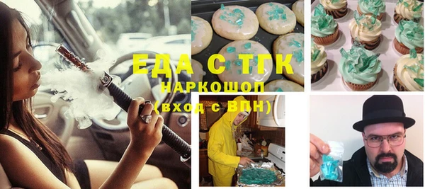 индика Алексин