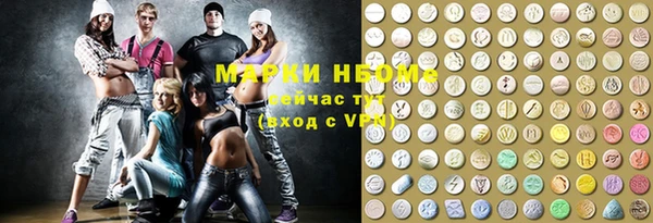 индика Алексин