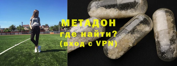 индика Алексин